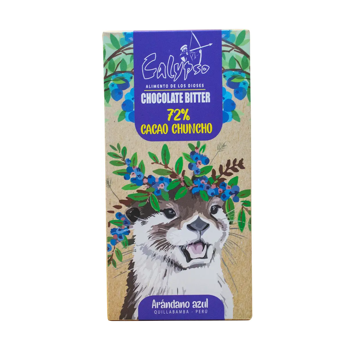 CHOCOLATE ARANDANOS 72%