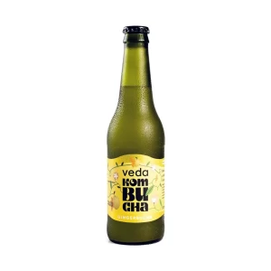 Kombucha Gingerbucha