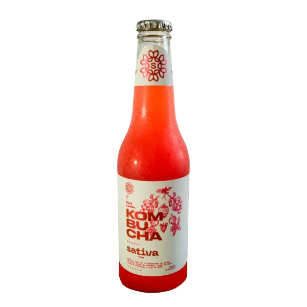 kombucha red levita