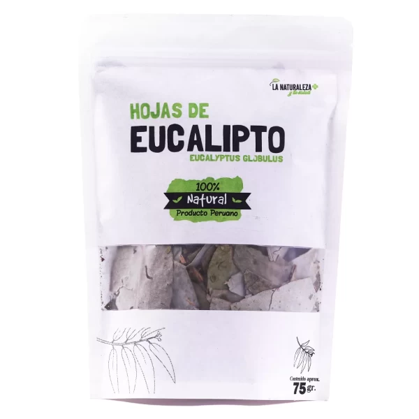 hojas de eucalipto