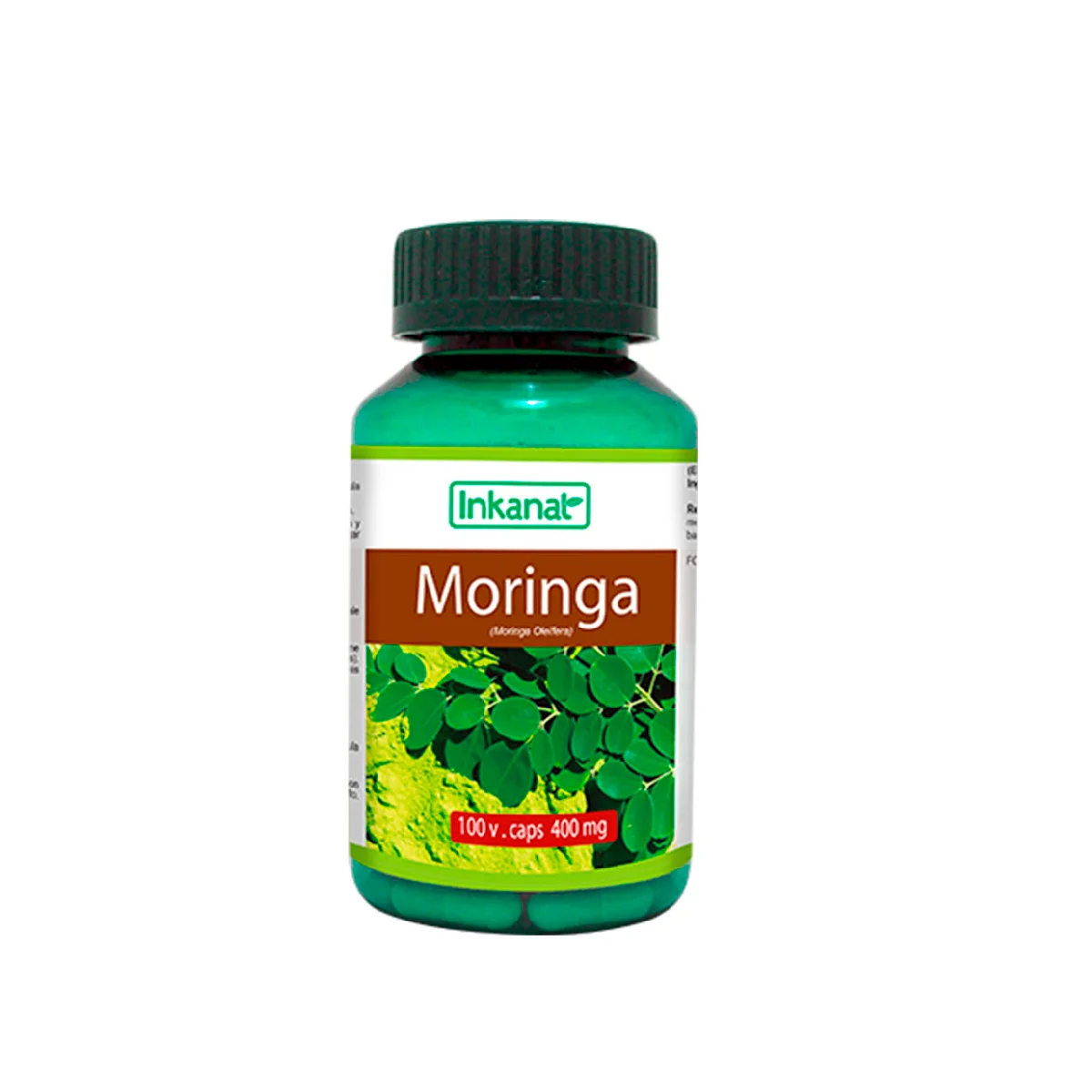 capsulas de moringa