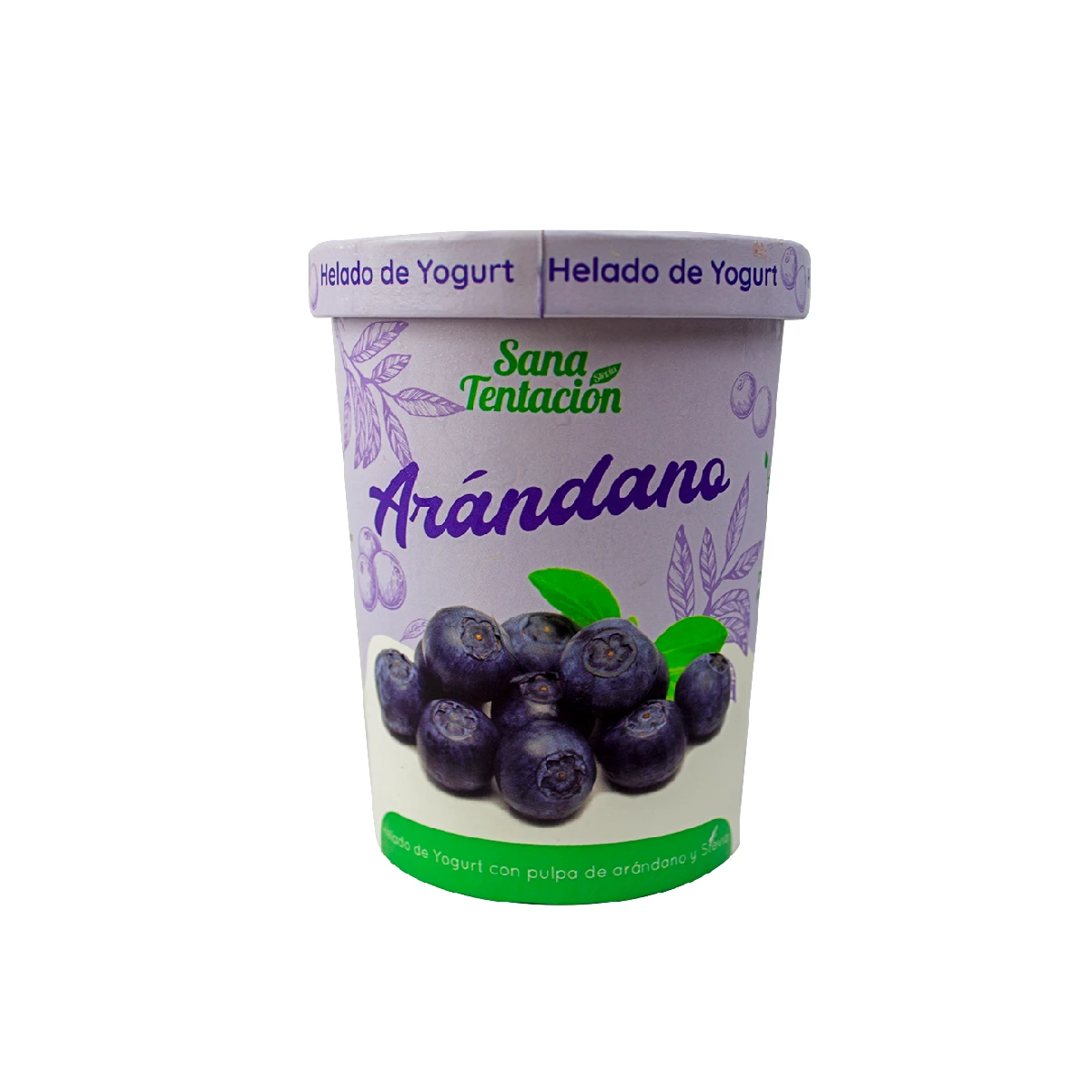 helado de arandanos 1lt sana tentacion