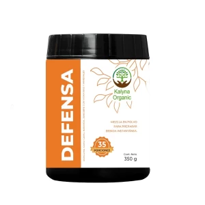 Defensa