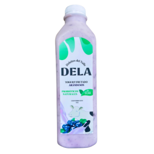 Yogurt-de-Arandano-1L Dela