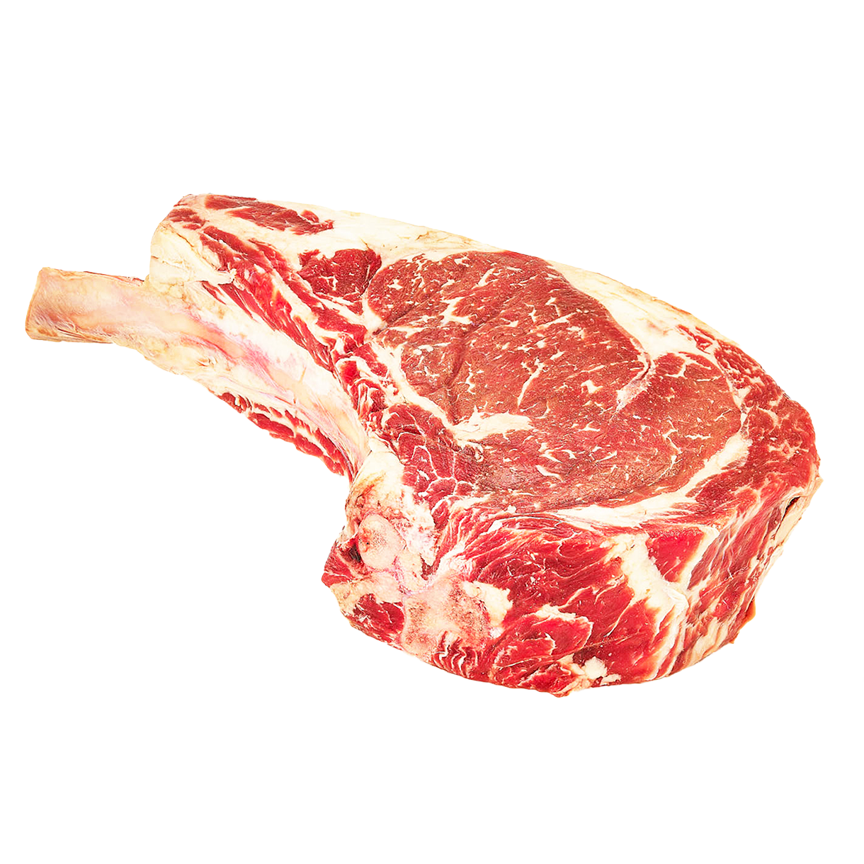 TomaHawk Vivo