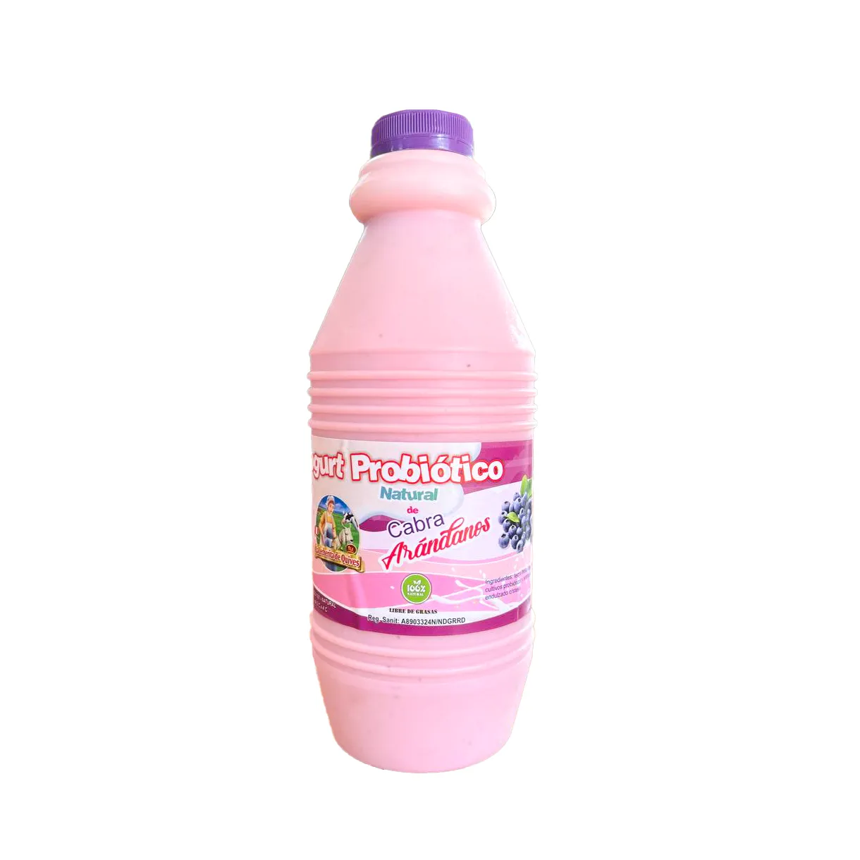 Yogurt de Cabra de Arandano