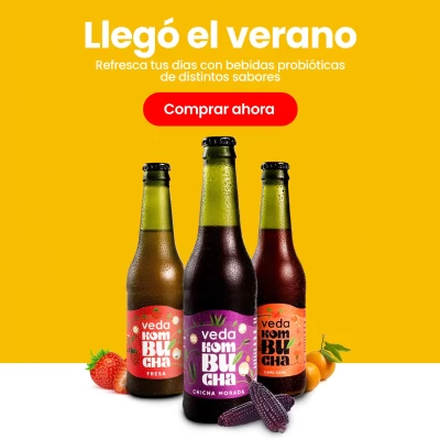 VEDA KOMBUCHA 1x1