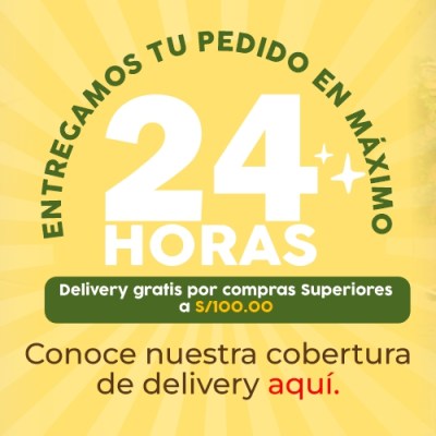 delivery web2500X500
